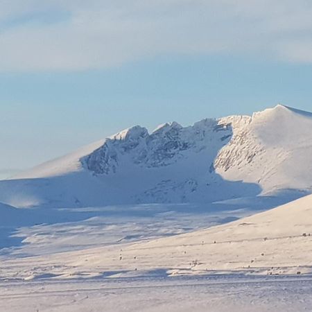 Snohetta Camping Hjerkinn المظهر الخارجي الصورة