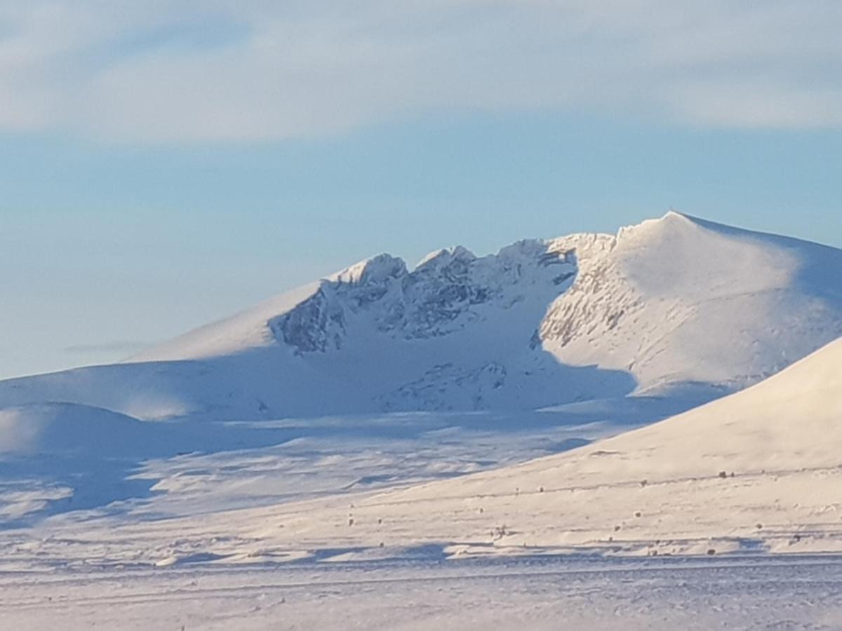 فندق Hjerkinnفي  Snohetta Camping المظهر الخارجي الصورة