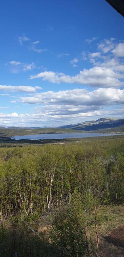Snohetta Camping Hjerkinn المظهر الخارجي الصورة